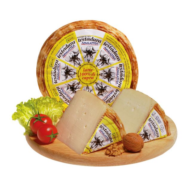 Козе сирене AMALATTEA TESTADURA Козе сирене AMALATTEA TESTADURA