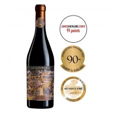 Апасименто Росо Венето IGP 2023 DOMINI VENETI Апасименто Росо Венето IGP 2023 DOMINI VENETI